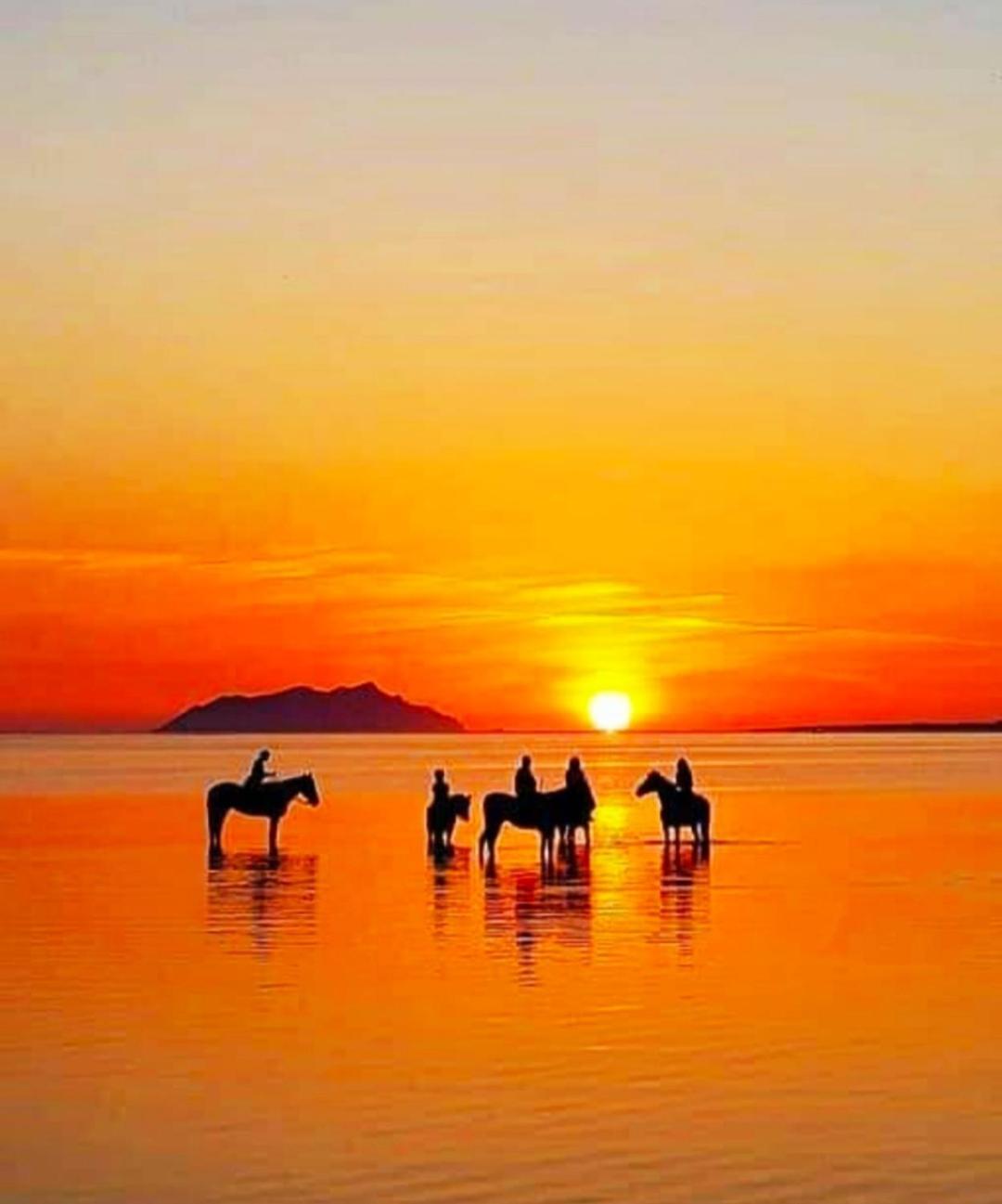 Bed and Breakfast Sunrise Stagnone - Kitesurf Spot Марсала Экстерьер фото